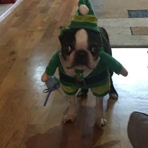 Meet your Posher, Dawn